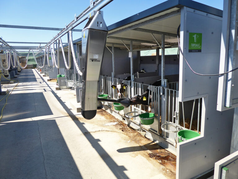 Alternative Fettquellen in der Kälberfütterung