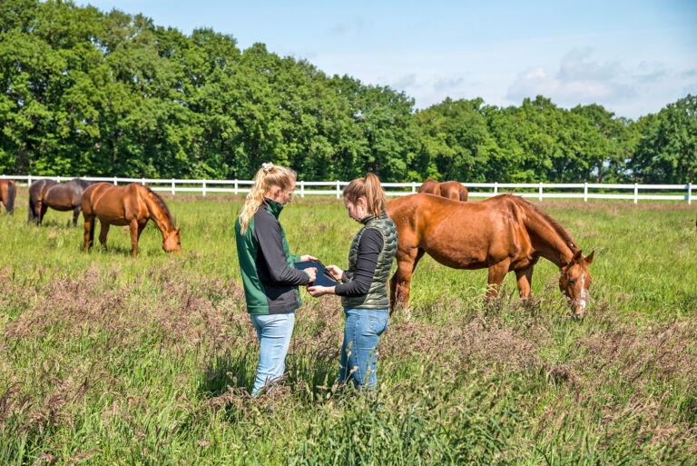 Digitale Checkliste für Pferdebetriebe