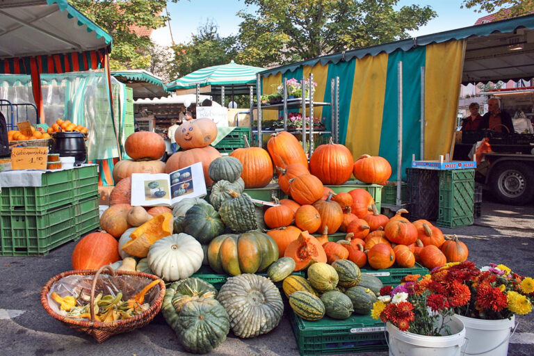 Herbst ist Kürbiszeit