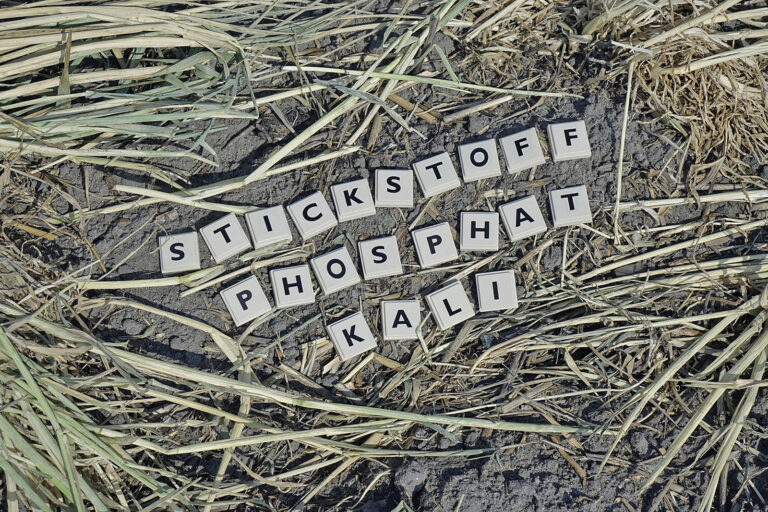 Dünger – jetzt noch handeln?￼