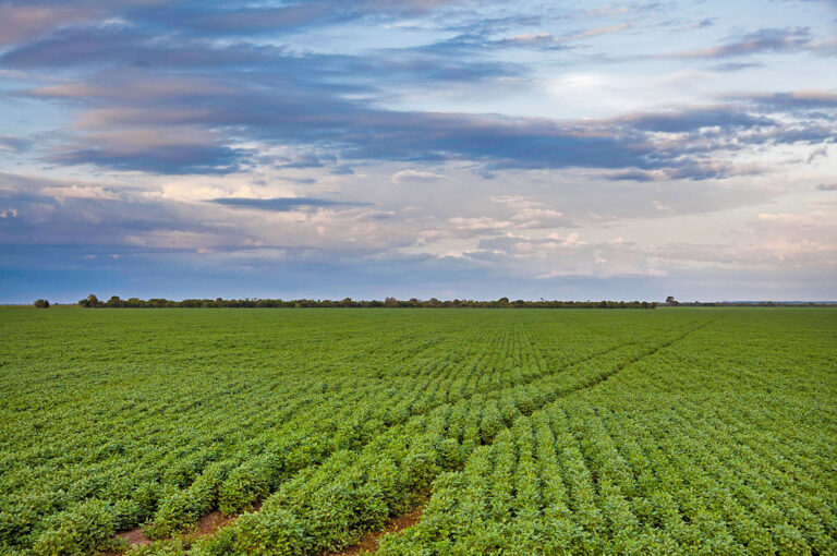 Versorgung bleibt angespannt