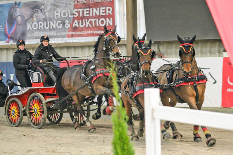 Fahrturnier in Negernbötel