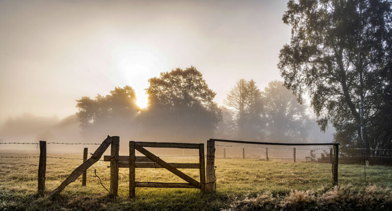 Kooperation braucht Freiräume