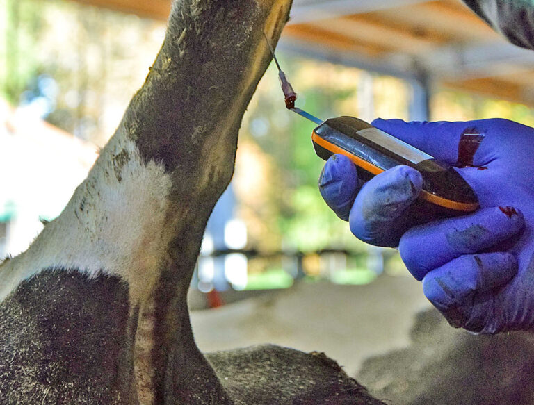 Folgen eines Energiedefizits nicht unterschätzen