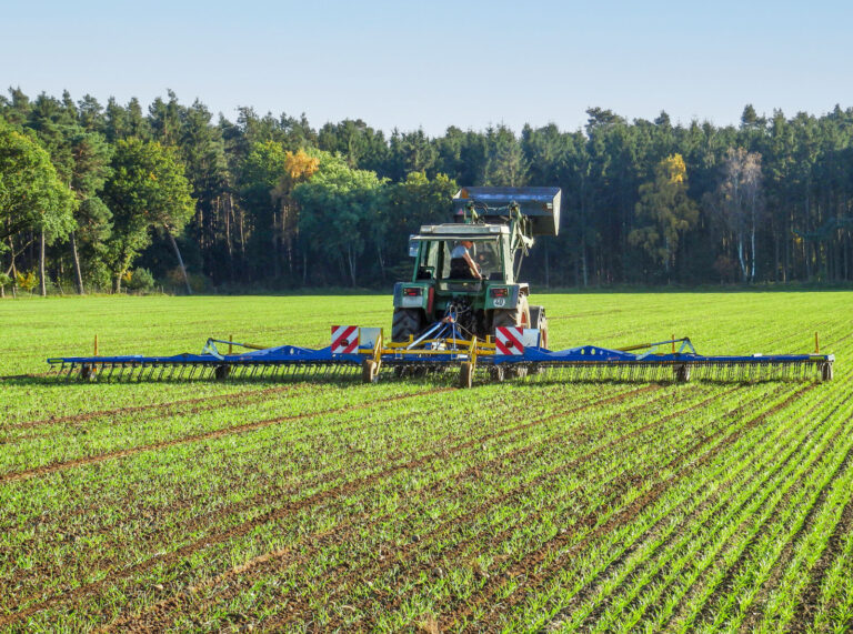 Was ist beim Striegeln im Herbst zu beachten?
