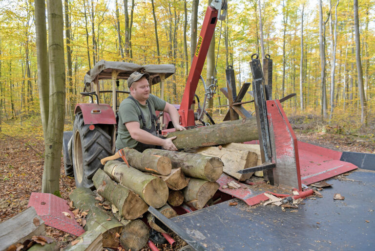Checkliste für Waldbesitzer