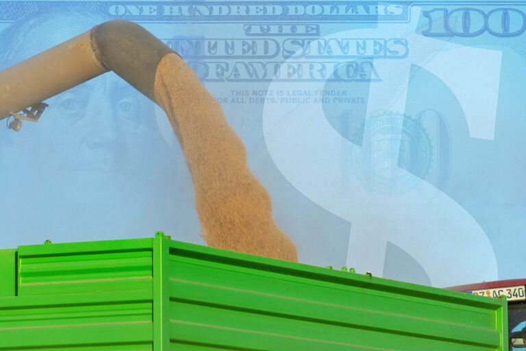 Endlich wieder WASDE