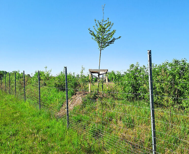 Große Nachfrage nach Kompensationsknicks