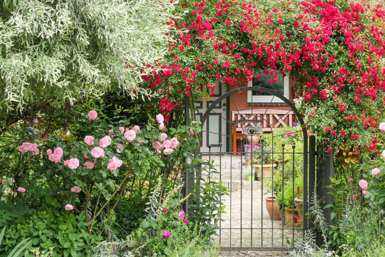 Aktion Offener Garten sucht neue Teilnehmer für 2026