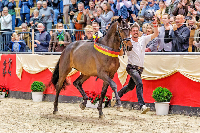Trakehner Hengstmarkt: Sechs Freunde jubilieren