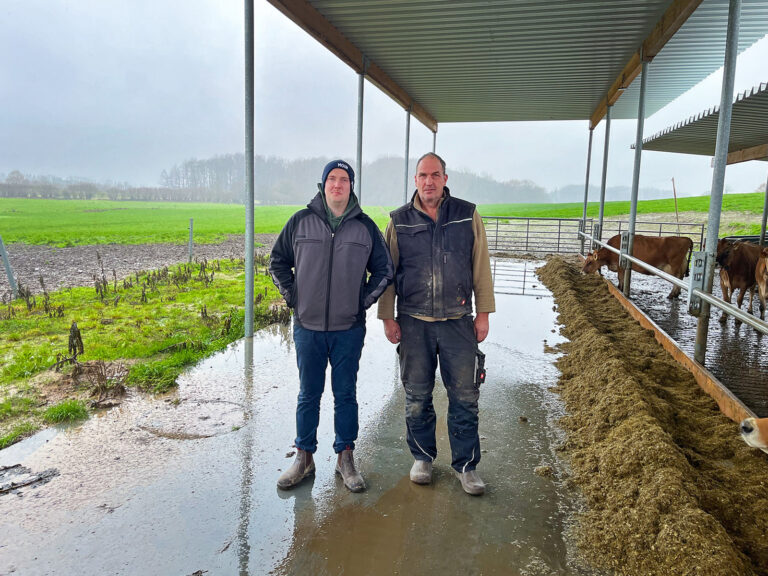 Platzt der Jersey-Traum?