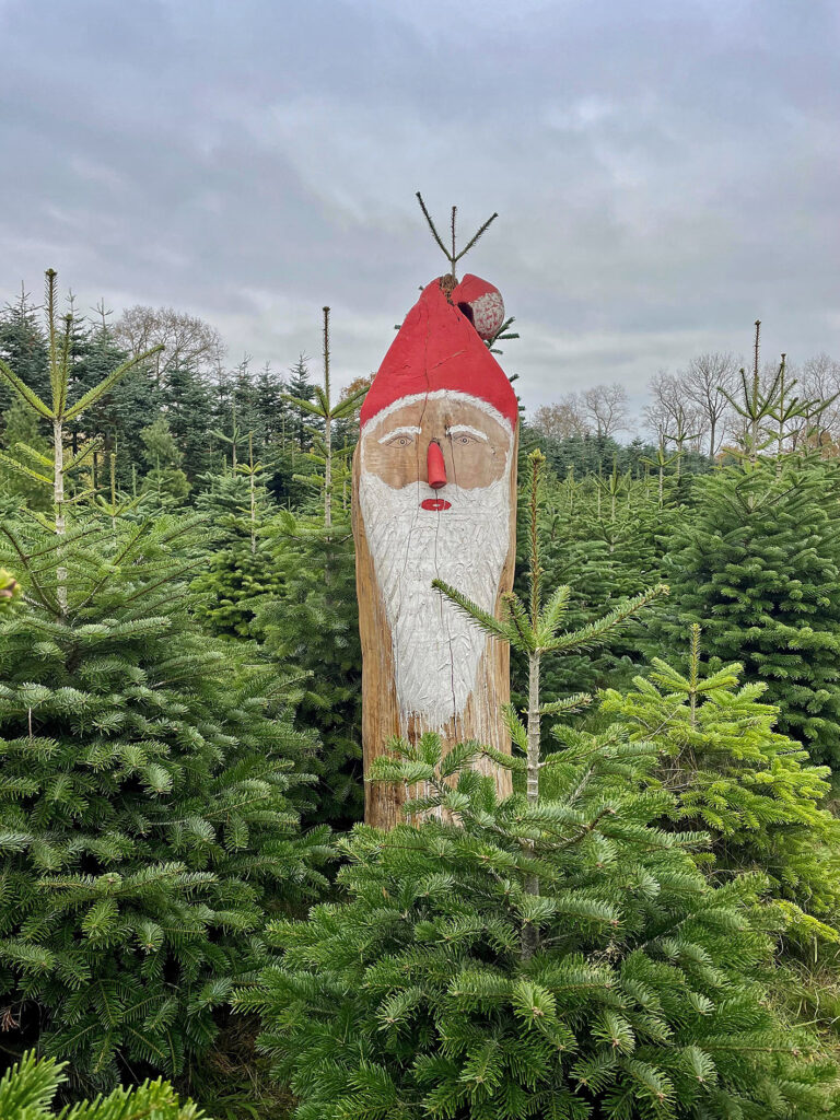 Nur ein echter Weihnachtsbaum bringt echte Stimmung
