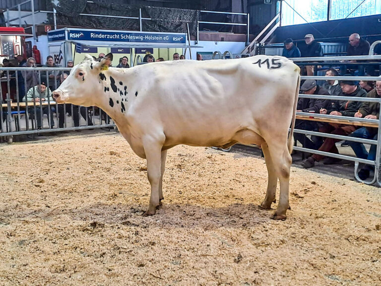Verhaltener Marktverlauf