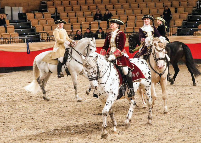 Pferdefamilientag in Neumünster