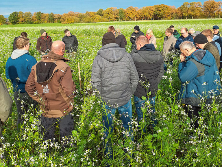 Erfolgreiche Feldtage zu Flugsaat