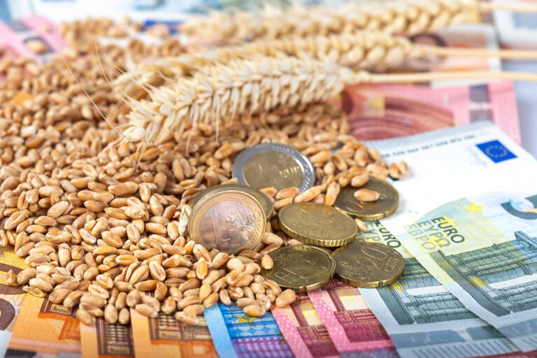 Nur die Getreidepreise steigen