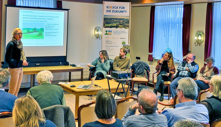 Knicks im Fokus: Wertsteigerung durch Kooperation