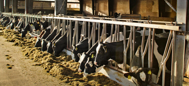 Wie stellen wir uns für die Zukunft auf?