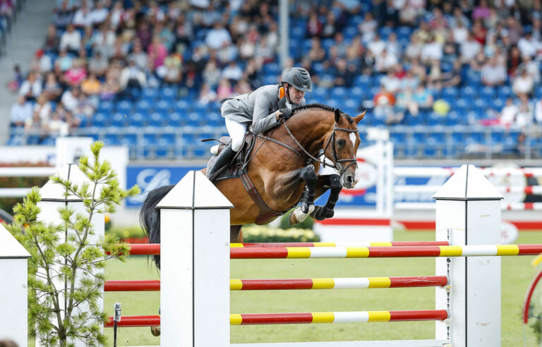 FN-Zuchtwertschätzung 2025