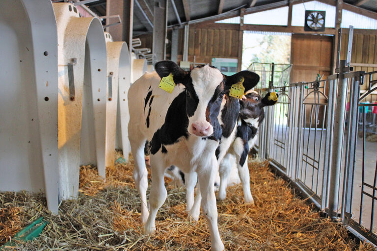 Baulehrschautag am 15. Januar