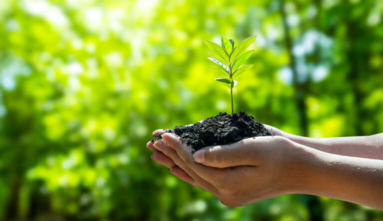 „Umweltomnibus“ lässt NRL außen vor