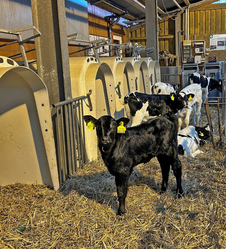 Verbundprojekt präsentiert Ergebnisse