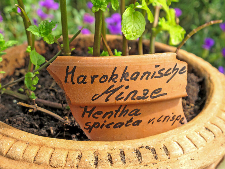 Individuelle Pflanzenstecker selbst basteln