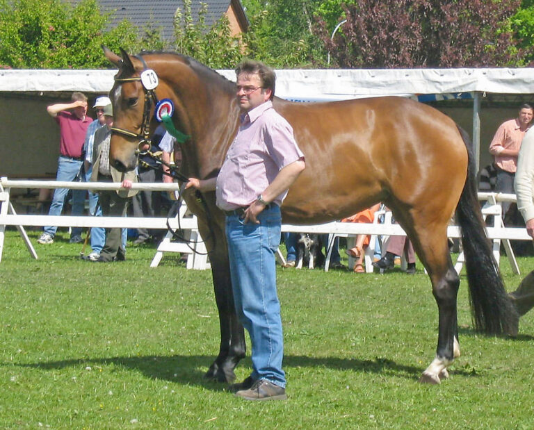 Züchter im Porträt: Ocke Riewerts aus Alkersum