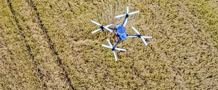 Ergebnisse des ersten Versuchsjahres Flugsaat