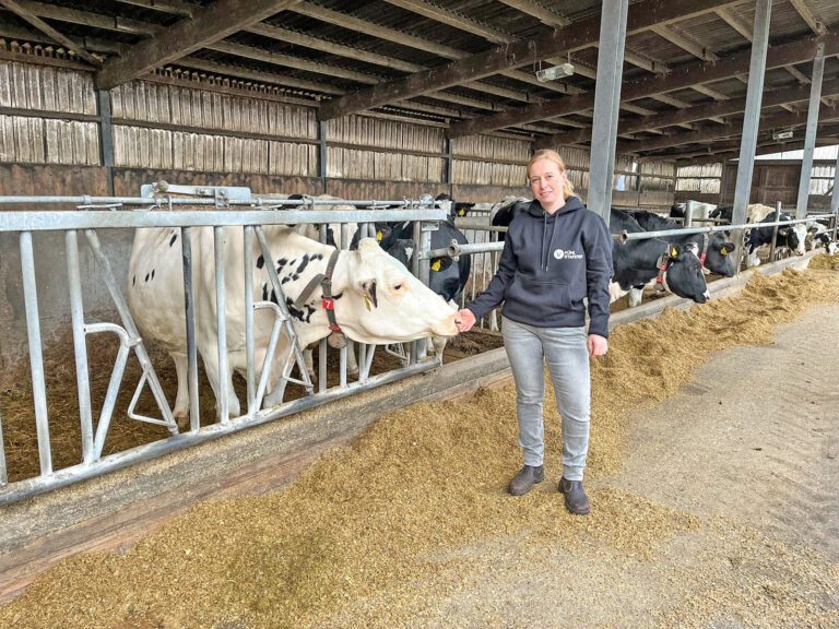 Team aus Perfektionisten