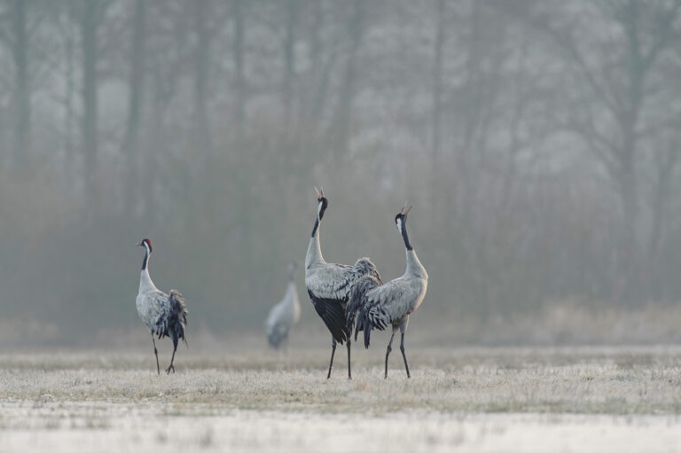 Winterausstellung „Die Zwei Jahreszeiten“