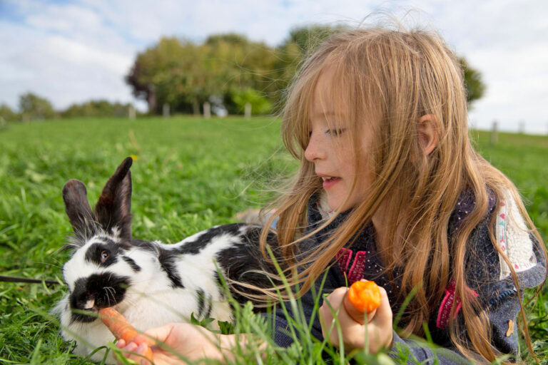 Landluft, Leidenschaft und viele Ideen