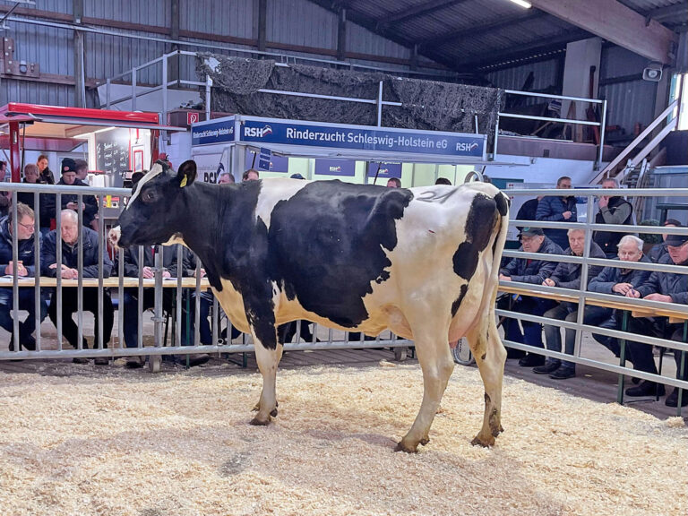 Der Markt wurde komplett geräumt