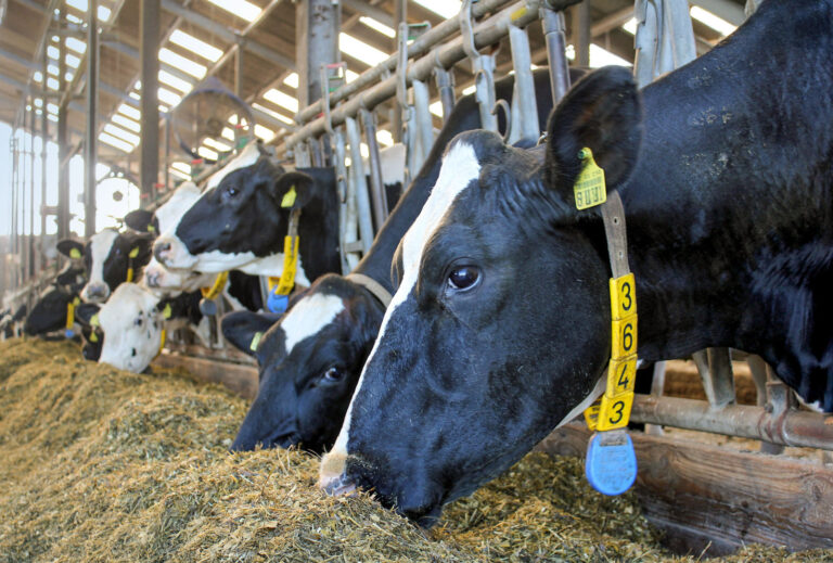 Strukturversorgung richtig bewerten