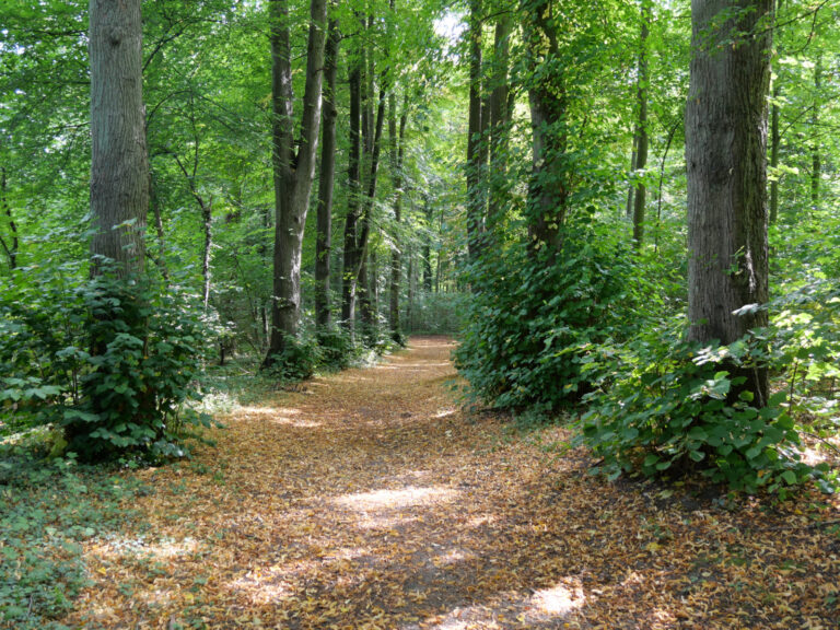 Geschichte eines Heilbades