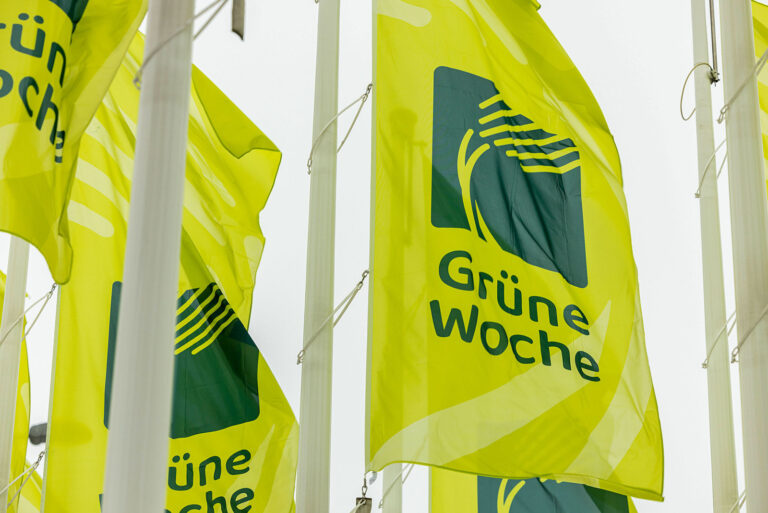 Ein Jahrhundert in Berlin