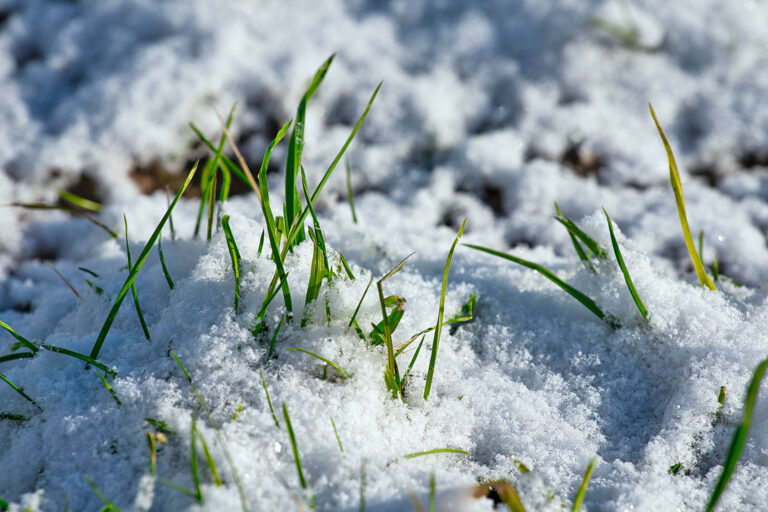 Kommt jetzt der Wettermarkt?￼