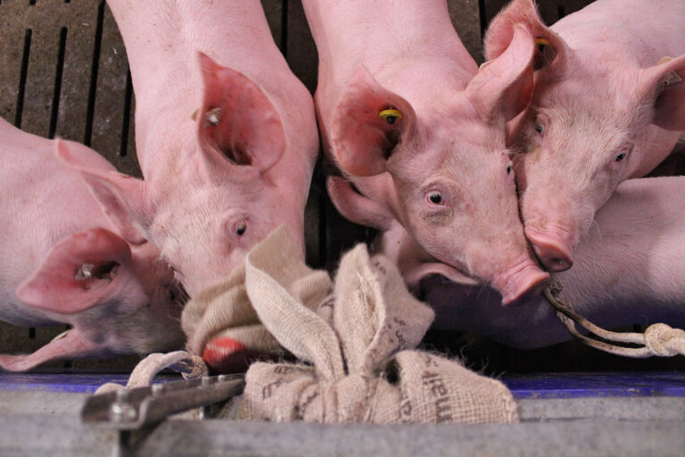 Strukturveränderungen in Schleswig-Holstein