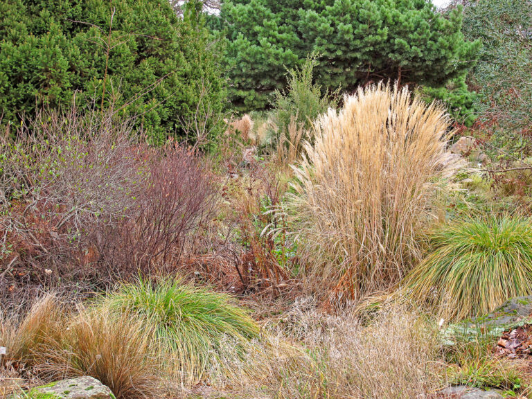 Schön zu jeder Jahreszeit