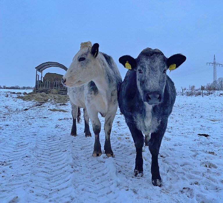 Richtige Haltung im Winter