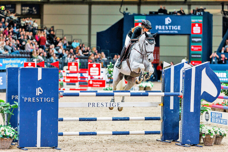 Partner Pferd in Leipzig mit dem Goldenen Sattel