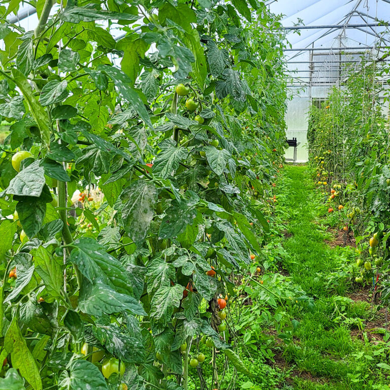 EU-Konferenz zur Wasserresilienz kommt nach Hamburg