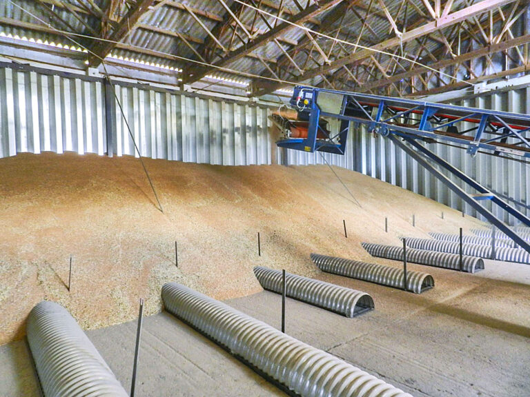 Wirkungsvoll Insekten das Leben schwer machen