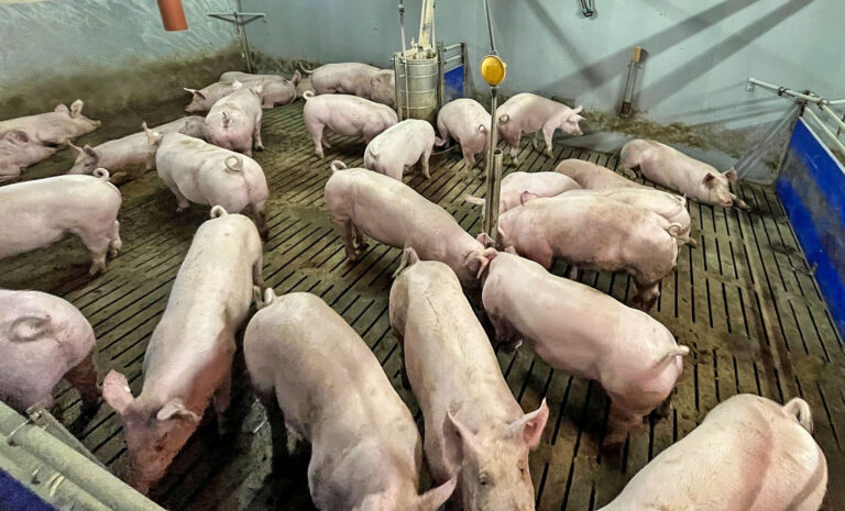 Ein Frühwarnsystem für die Praxis