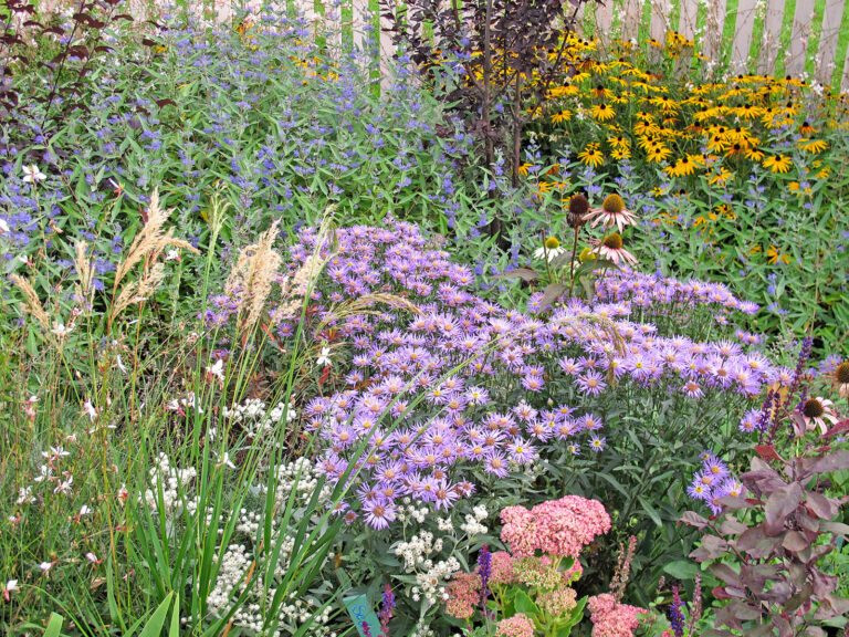 Blütensträucher und Stauden kombinieren