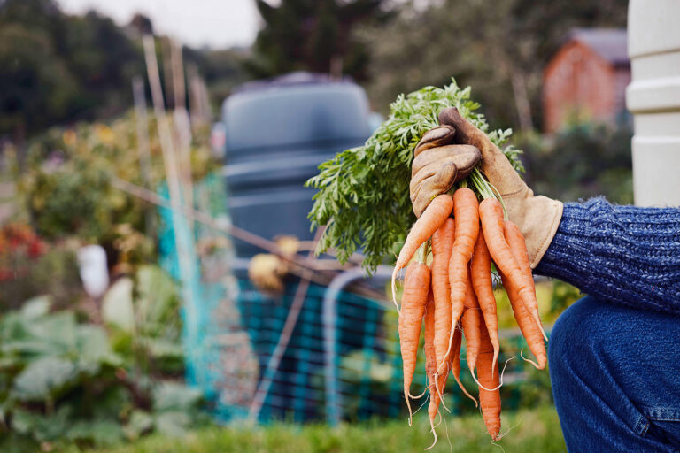 Selbstversorgung über alles?