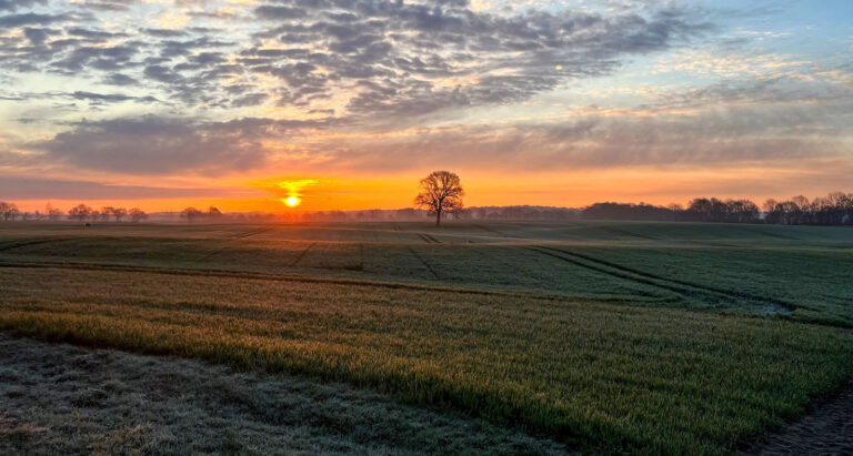 Bedarfe und Standortbedingungen ausschlaggebend
