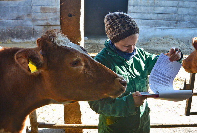 Gesündere Herden und weniger Kosten