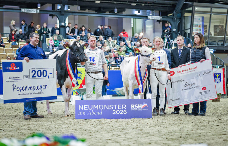 Bühne frei für die regionale Rinderzucht