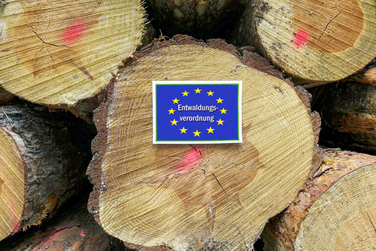 EUDR: Waldbesitzer lassen nicht locker
